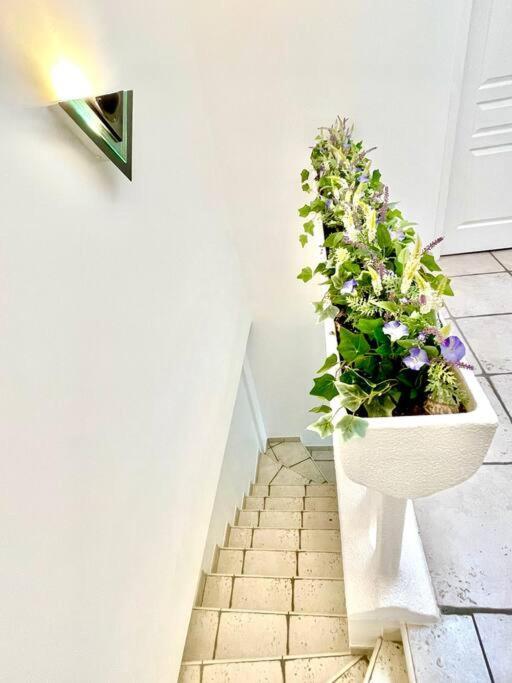 Charmante Villa Pour 10 Personnes Saint-Augustin  Экстерьер фото